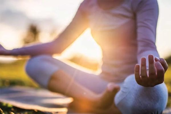 Sobha Seahaven Investment